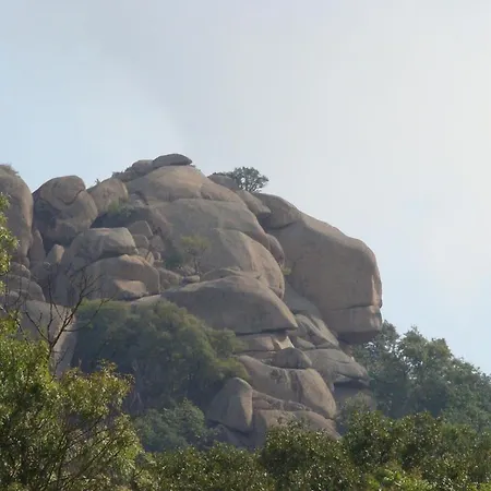 Sveti Dimitar Primorsko