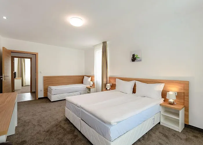 Sveti Dimitar Отель 3*